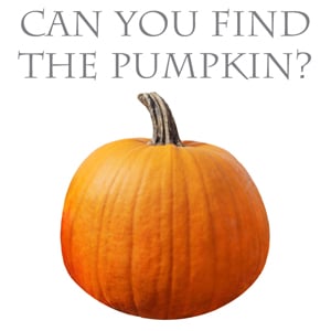 Watch out there’s a pumpkin about! 
